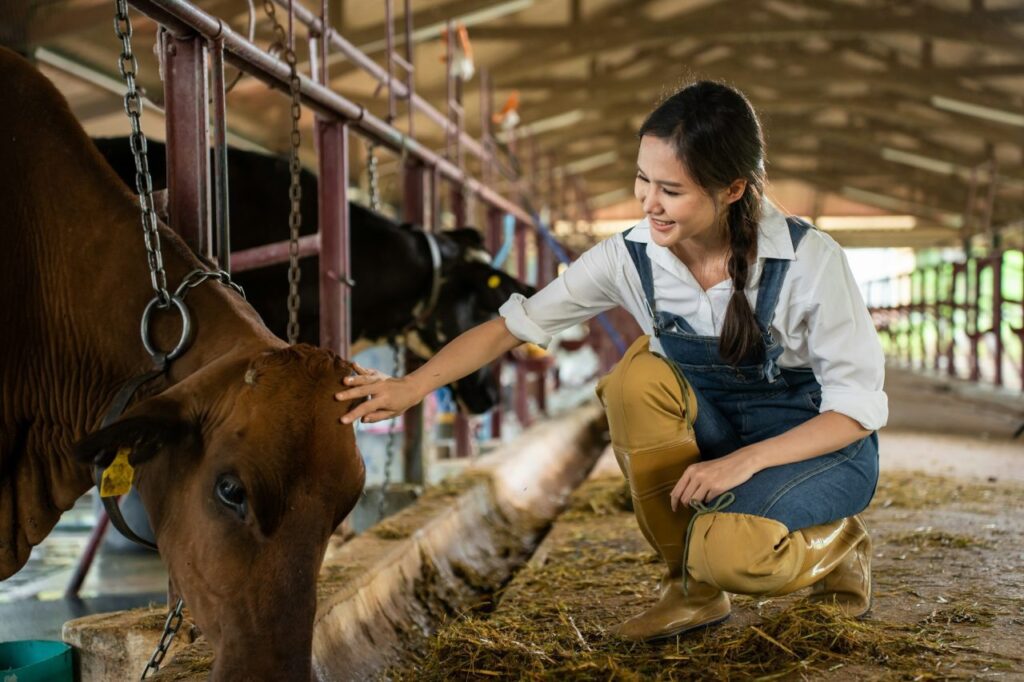 Ayranın Sofralardaki Yeri ve Önemi